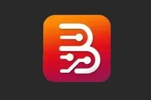 Borneo Schematics 1 User (12 Months) Activation/Renewal Code